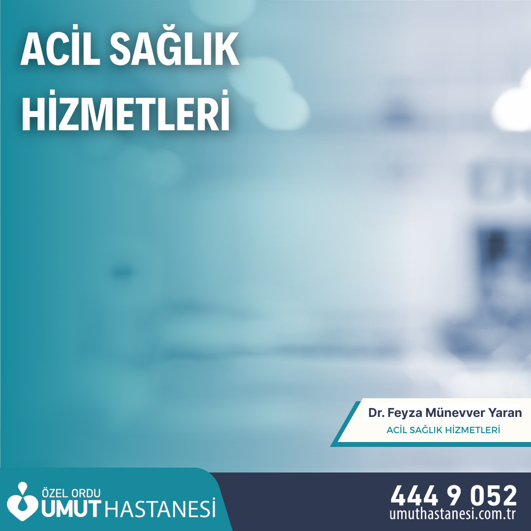 Dr.Feyza Münevver YARAN